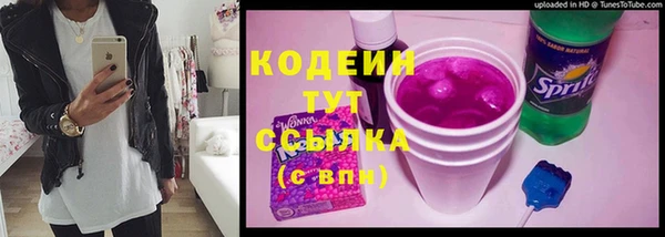 хмурый Приозерск