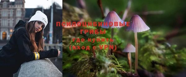 МДМА Протвино