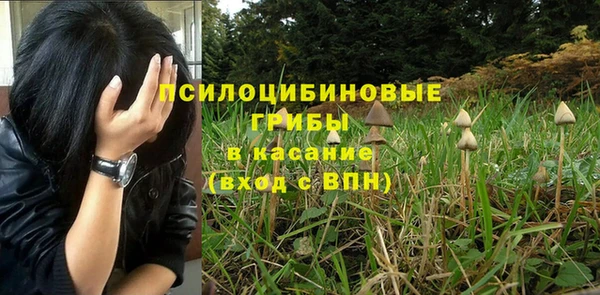 spice Чегем